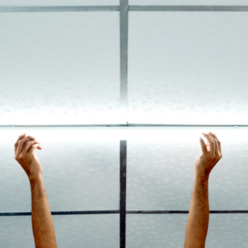 image of arms raised up