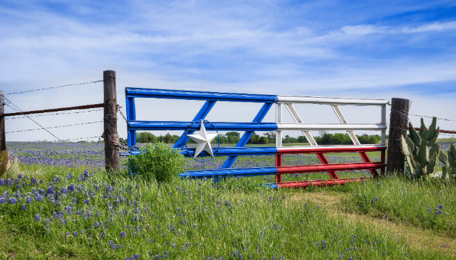 fence painted with Texas flag