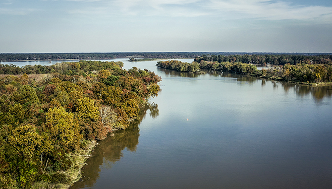 lake and trees